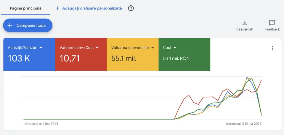 Google Ads · Captură originală din platformă · Perioadă nevizibilă