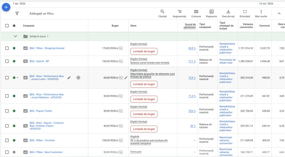 Campanii Google Ads pentru 1 ianuarie–13 octombrie 2026: Performance Max general și pe categorii, plus Search